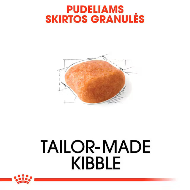 Poodle Adult dry dog ​​food