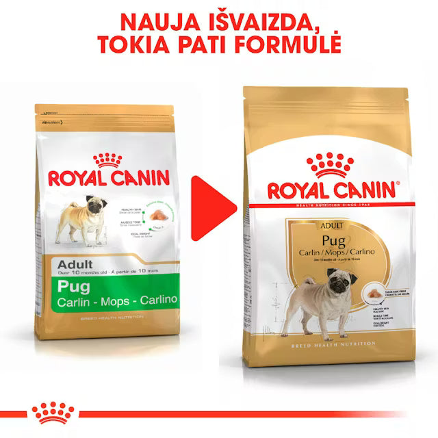 Pug Adult dry dog ​​food