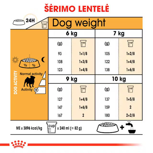 Pug Adult sausas pašaras šuniui