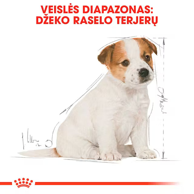 Корм для щенков джек-рассел-терьера Royal Canin 1,5 кг - специально сбалансированный корм для щенков этого породы.
