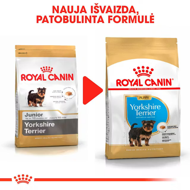 Royal Canin Yorkshire Terrier Puppy - sucha karma dla szczeniąt