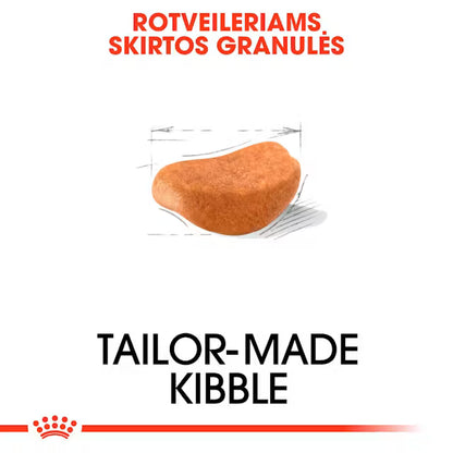 Rottweiler Adult dry dog ​​food