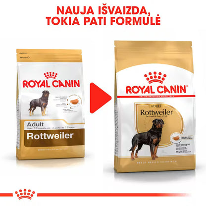 Rottweiler Adult dry dog ​​food