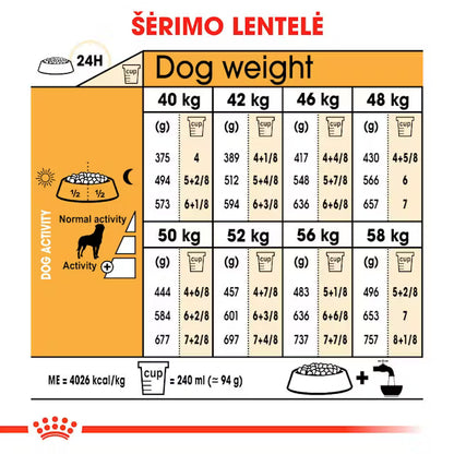 Rottweiler Adult dry dog ​​food