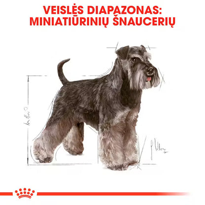 Miniature Schnauzer Adult dry dog ​​food