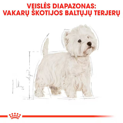 Royal Canin West Highland White Terrier Adult - Dry dog ​​food