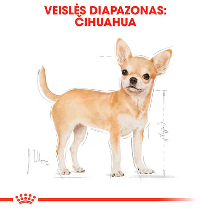 Chihuahua wet dog food