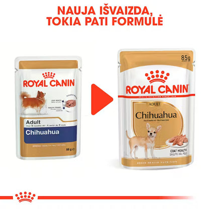Chihuahua wet dog food