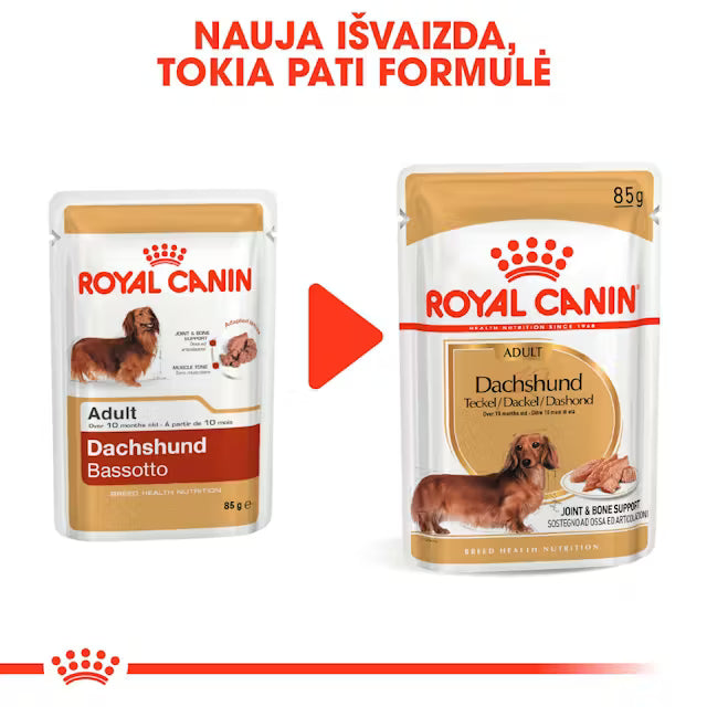 Dachshund wet dog food