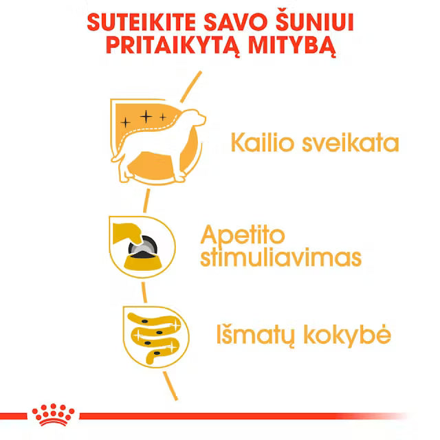 Royal Canin Yorkshire Terrier - Drėgnas pašaras šuniui