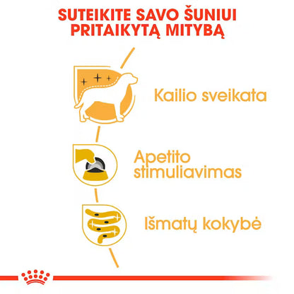 Royal Canin Yorkshire Terrier - Drėgnas pašaras šuniui