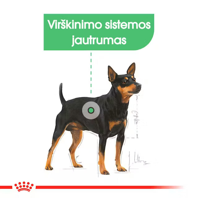 Mini Digestive Care sausas pašaras šuniui