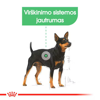 Mini Digestive Care sausas pašaras šuniui