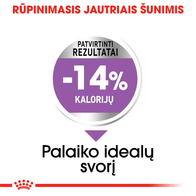 Mini Sterilised sausas pašaras šuniui