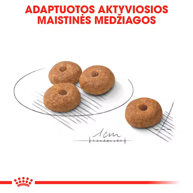 Mini Sterilised sausas pašaras šuniui