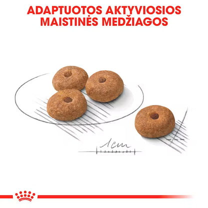 Mini Sterilised sausas pašaras šuniui