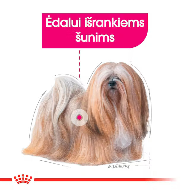 Royal Canin Exigent Loaf drėgnas maistas šunims 12x85g