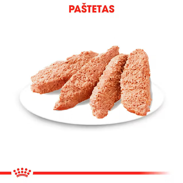 Royal Canin Exigent Loaf drėgnas maistas šunims 12x85g