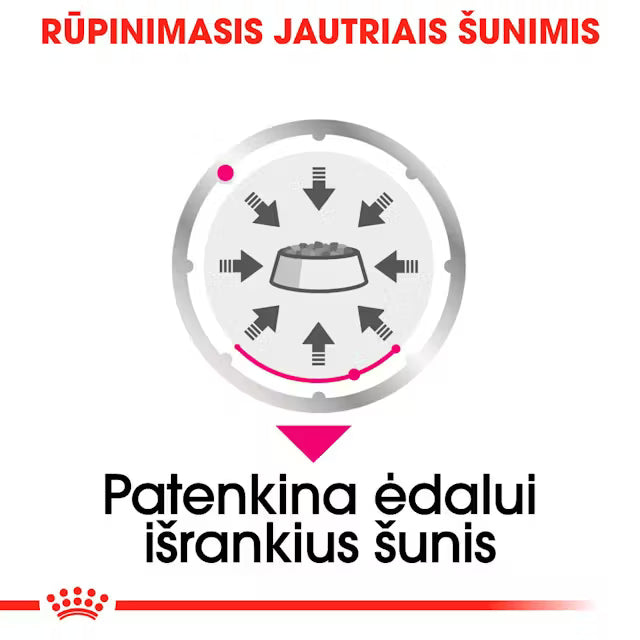 Royal Canin Exigent Loaf drėgnas maistas šunims 12x85g
