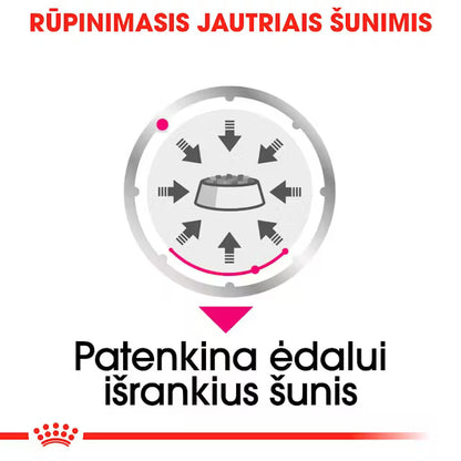 Royal Canin Exigent Loaf drėgnas maistas šunims 12x85g
