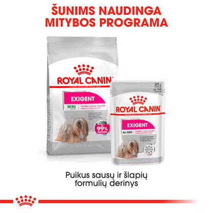 Royal Canin Exigent Loaf drėgnas maistas šunims 12x85g