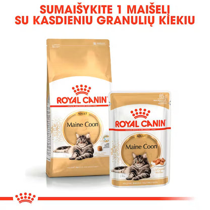 Maine Coon Adult dry cat food
