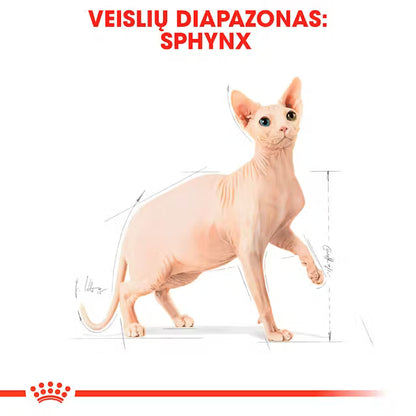 Сухой корм для кошек Sphynx Adult