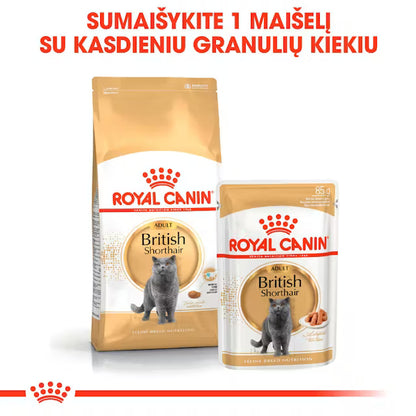 ROYAL CANIN British Shorthair Adult Narrow Chunks In Gravy – Karma Mokra dla Kota 12x85g