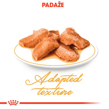 ROYAL CANIN Maine Coon Adult Thin Slices In Gravy - Drėgnas Pašaras Katėms 12x85g
