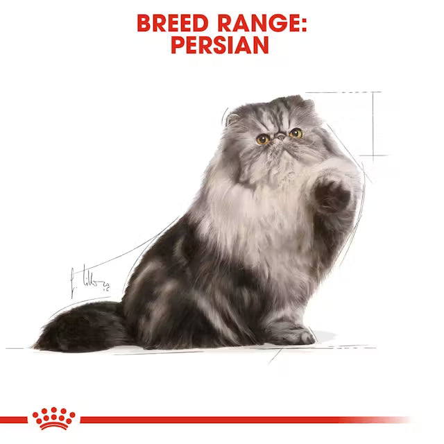ROYAL CANIN Persian Adult Loaf - Wet Food for Persian Cats 12x85g