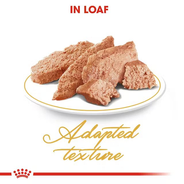 ROYAL CANIN Persian Adult Loaf - Wet Food for Persian Cats 12x85g