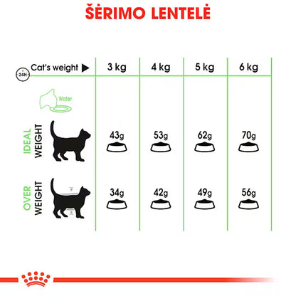 Royal Canin Feline Care Nutrition Digestive Care 0,4 kg – Trockenfutter für ausgewachsene Katzen zur Förderung der Verdauungsgesundheit