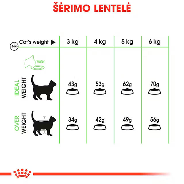 Royal Canin Feline Care Nutrition Digestive Care 10kg - Profesionali pakuotė suaugusioms katėms virškinimo sistemos sveikatai