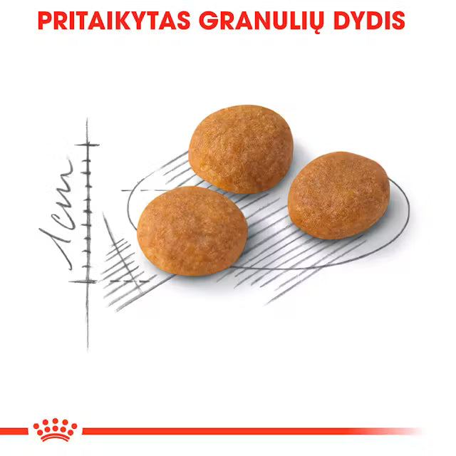 Aroma Exigent sausas pašaras katei