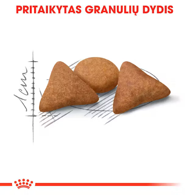 Royal Canin Feline Health Nutrition Indoor Appetite Control 2kg - Sausas maistas viduje gyvenančioms katėms apetito kontrolei