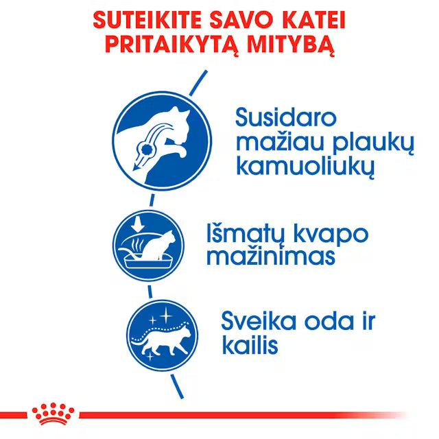 Royal Canin Feline Health Nutrition Indoor Long Hair 2kg - Sausas maistas ilgaplaukėms viduje gyvenančioms katėms