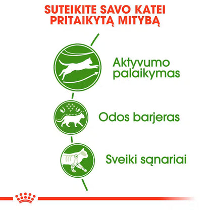 Royal Canin Feline Health Nutrition Outdoor 30 2kg - Sausas maistas lauke gyvenančioms aktyvių katėms