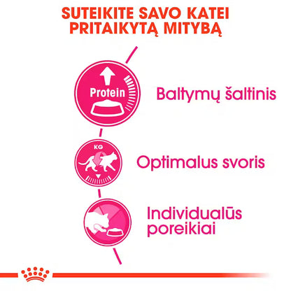 Protein Exigent sausas pašaras katei