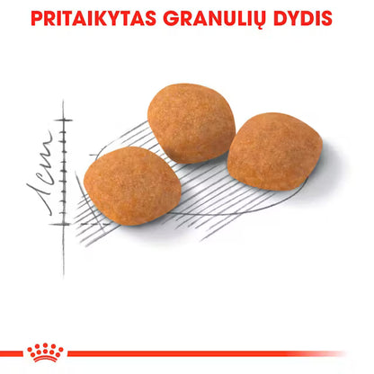 Protein Exigent sausas pašaras katei