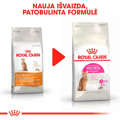 Protein Exigent sausas pašaras katei