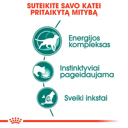 Instinctive 7+ Gravy - Drėgnas Pašaras Vyresnėms Katėms 12x85g