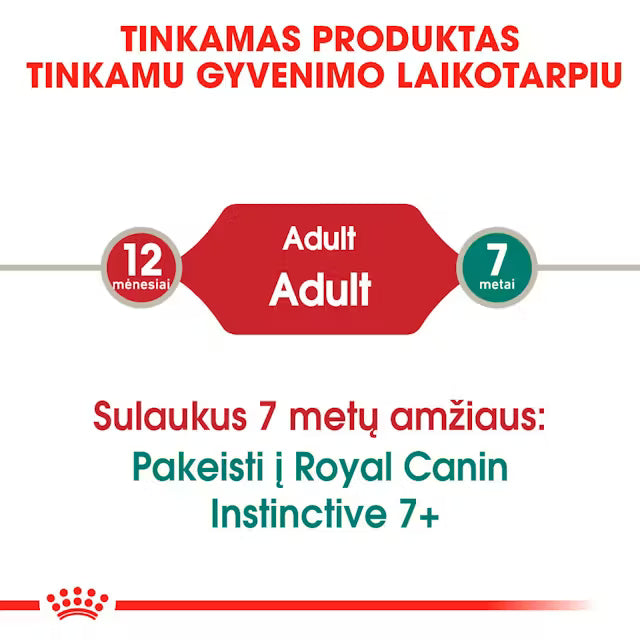 ROYAL CANIN Instinctive Jelly - Karma Mokra dla Dorosłych Kotów 12x85g