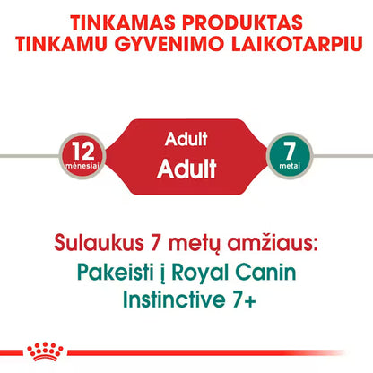 ROYAL CANIN Instinctive Jelly - Karma Mokra dla Dorosłych Kotów 12x85g