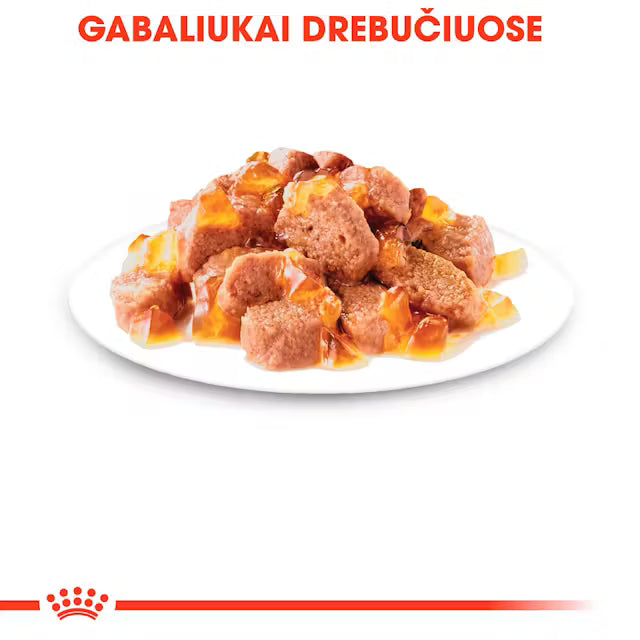 ROYAL CANIN Instinctive Jelly - Karma Mokra dla Dorosłych Kotów 12x85g