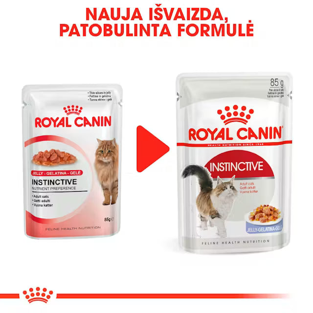 ROYAL CANIN Instinctive Jelly - Karma Mokra dla Dorosłych Kotów 12x85g