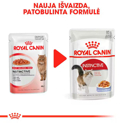 ROYAL CANIN Instinctive Jelly - Karma Mokra dla Dorosłych Kotów 12x85g