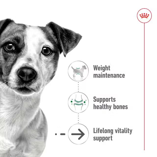 ROYAL CANIN Mini Ageing Chunks In Gravy - Влажный корм для пожилых собак мелких пород 12х85г