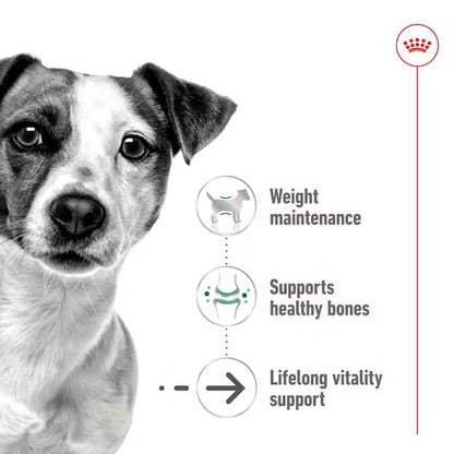 ROYAL CANIN Mini Ageing Chunks In Gravy - Влажный корм для пожилых собак мелких пород 12х85г