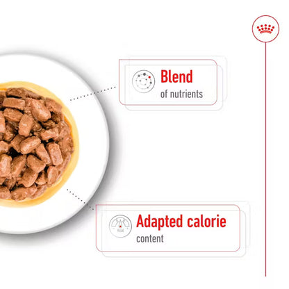 ROYAL CANIN Mini Ageing Chunks In Gravy - Влажный корм для пожилых собак мелких пород 12х85г