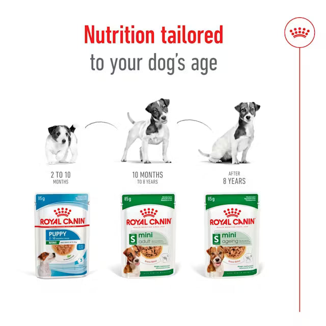 ROYAL CANIN Mini Ageing Chunks In Gravy - Влажный корм для пожилых собак мелких пород 12х85г